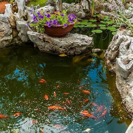 Lägenhet Sime Sukošan